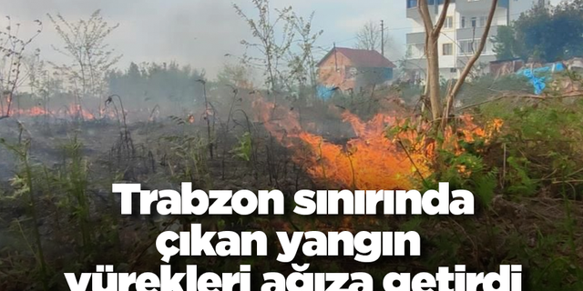 Trabzon sınırında çıkan yangın korkuttu