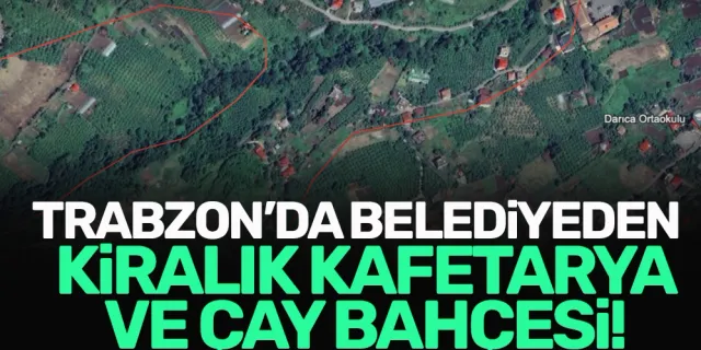 Trabzon'da belediye kafe ve çay bahçesi olarak kiraya verecek!