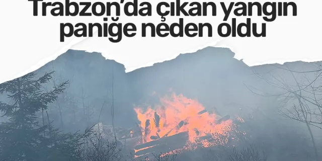Trabzon Uzungöl'de çıkan yangın paniğe neden oldu