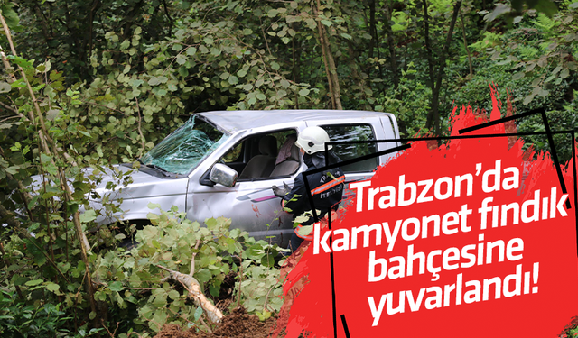 Trabzon’da kamyonet fındık bahçesine yuvarlandı!