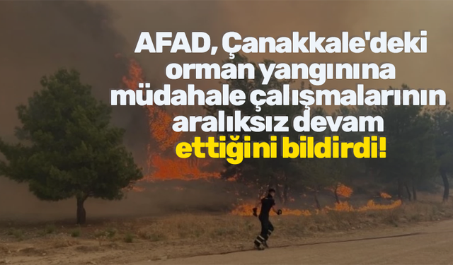 AFAD, Çanakkale'deki  orman yangınına  müdahale çalışmalarının  aralıksız devam  ettiğini bildirdi!