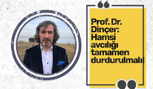 Prof. Dr. Dinçer: Hamsi avcılığı tamamen durdurulmalı!