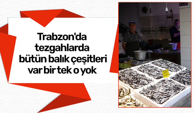 Trabzon'da tezgahlarda bütün balık çeşitleri var bir tek o yok
