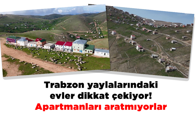 Trabzon yaylalarındaki evler dikkat çekiyor! Apartmanları aratmıyorlar