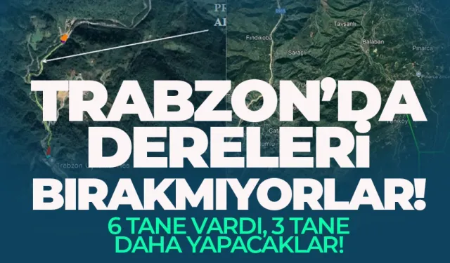 Trabzon'da dereleri bırakmıyorlar! 6 tane vardı, 3 tane daha yapacaklar...