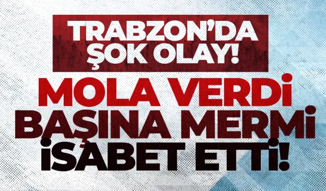 Trabzon'da şok olay! Mola verdi, başına mermi isabet etti...