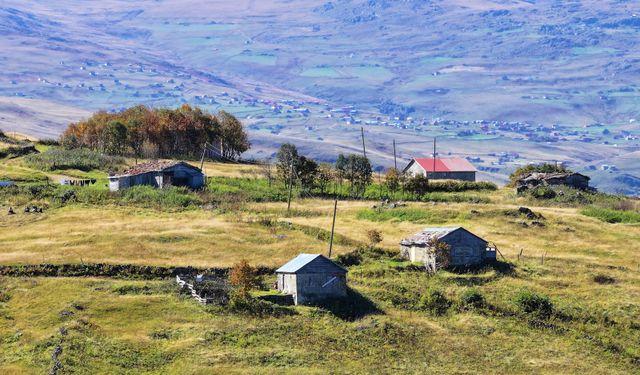 Trabzon'da tarihi kervan yolundaki "Ağaçbaşı Turbalığı"nda sonbahar