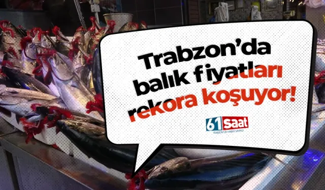 Trabzon’da balık fiyatları rekora koşuyor!