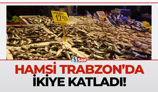 Trabzon'da hamsi ikiye katladı