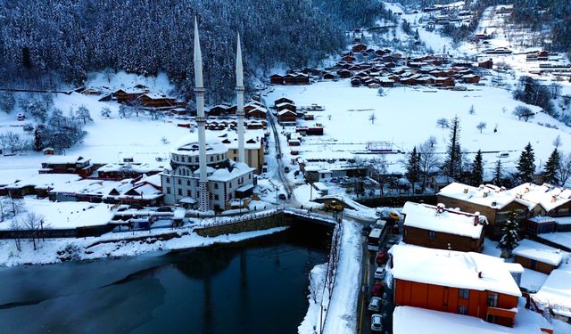 Uzungöl'de kartpostallık kış manzarası