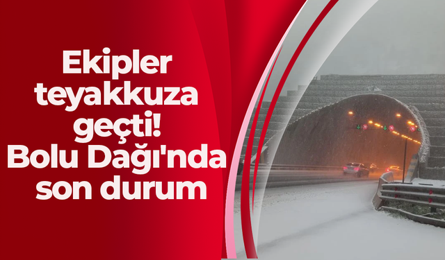 Ekipler teyakkuza geçti! Bolu Dağı'nda son durum