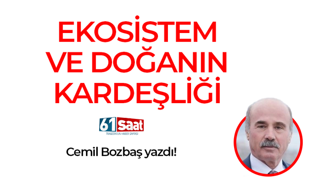 Cemil Bozbaş yazdı! EKOSİSTEM VE DOĞANIN KARDEŞLİĞİ