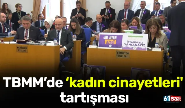 TBMM Plan ve Bütçe Komisyonu'nda ‘kadın cinayetleri' tartışması