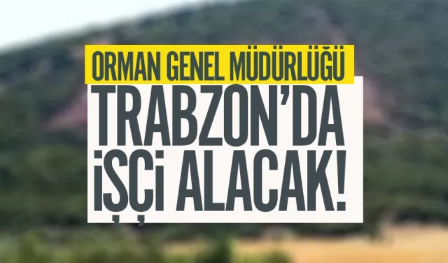 Orman Genel Müdürlüğü, Trabzon’a geçici işçi alacak!