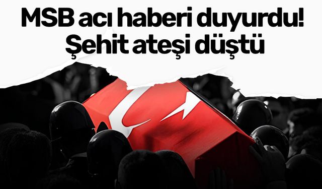 MSB acı haberi duyurdu! Şehit ateşi düştü