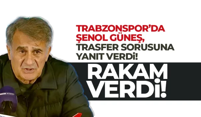 Şenol Güneş, transfer sorusuna yanıt verdi…