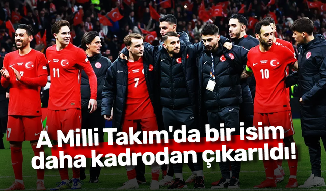 A Milli Takım'da bir isim daha kadrodan çıkarıldı!