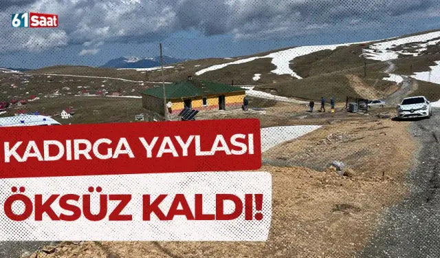 Kadırga Yaylası öksüz kaldı