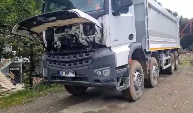 Rizeli'nin doğaya saygısı örnek oldu