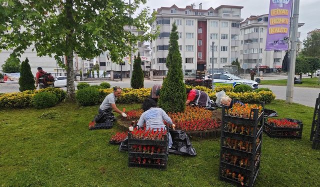 Ordu’nun dört bir yanı çiçek bahçesine dönüştürüldü