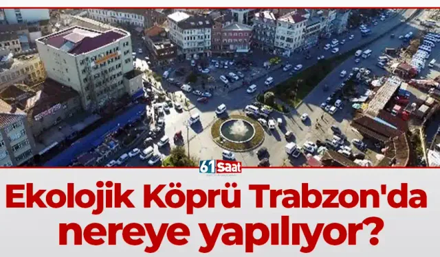 Ekolojik Köprü Trabzon'da nereye yapılıyor?