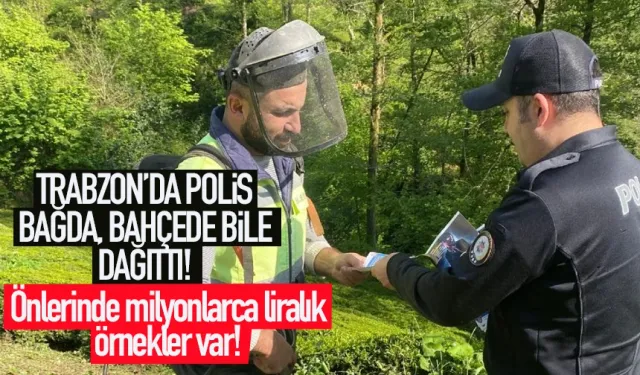 Trabzon'da polis bağda, bahçede dağıttı! Milyonlarca liralık örnekler var...