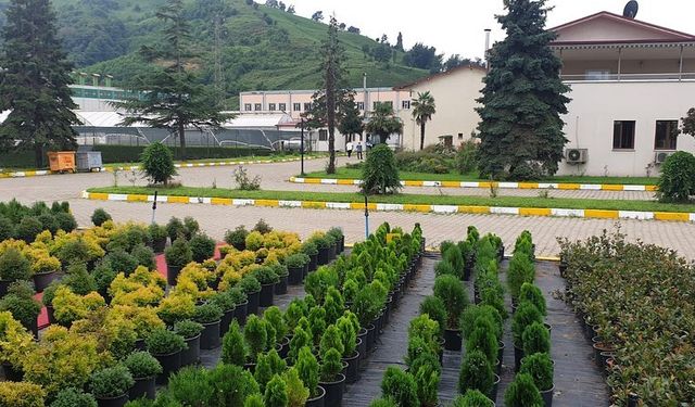 Fidan Üretim Malzemesi mal mal alımı