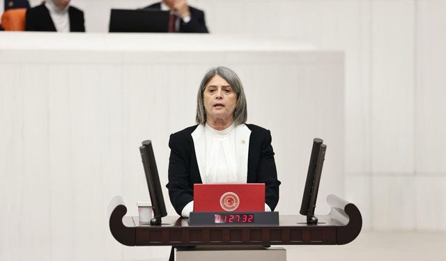 Sibel Suiçmez'den iktidara Anneler Günü eleştirisi!