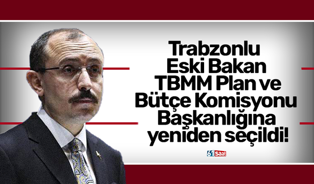 Trabzonlu  Eski Bakan  TBMM Plan ve  Bütçe Komisyonu  Başkanlığına  yeniden seçildi!