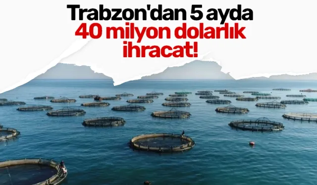 Trabzon'dan 5 ayda 40 milyon dolarlık ihracat!
