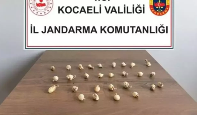 Midesinden  kapsül kapsül uyuşturucu çıktı