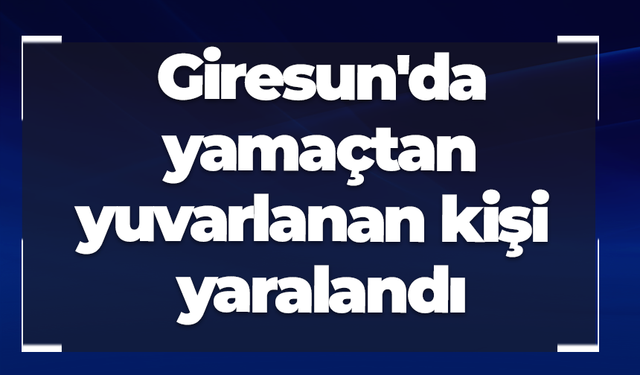 Giresun'da yamaçtan yuvarlanan kişi yaralandı