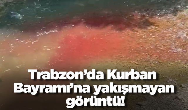 Trabzon’da Kurban Bayramı’na yakışmayan görüntü!