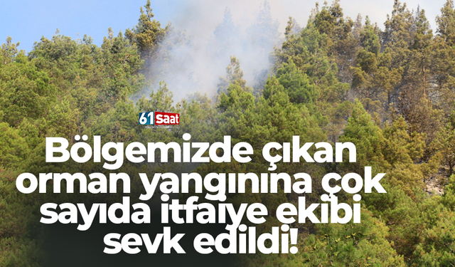 Bölgemizde çıkan orman yangınına çok sayıda itfaiye ekibi sevk edildi!