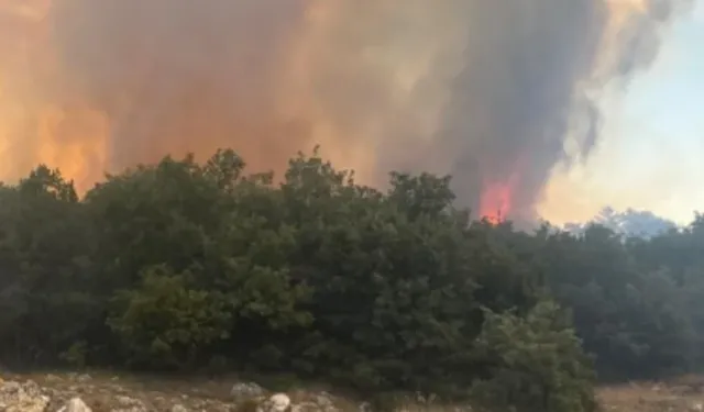 Bir yangın da Eskişehir'de: Seyitgazi'de ormanlık alan alevlere teslim