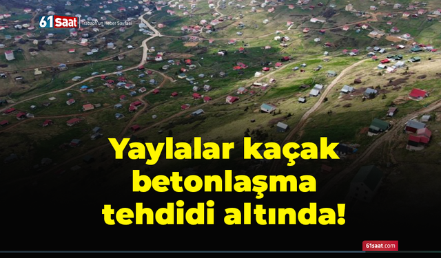 Doğu Karadeniz'deki yaylalar kaçak betonlaşma tehdidi altında!