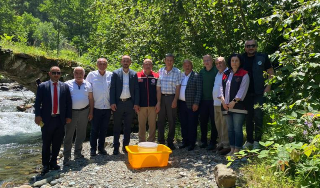 Trabzon'da 15 bin alabalık yavrusu suyla buluşturuldu