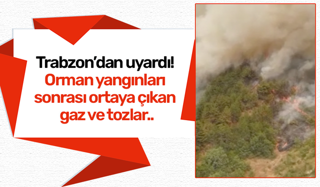 Trabzon’dan uyardı! Orman yangınları sonrası ortaya çıkan gaz ve tozlar..