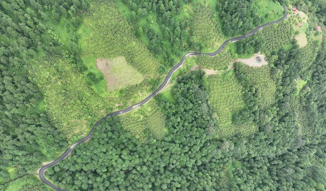 Trabzon’da bu mahallenin yol sorunu çözüldü