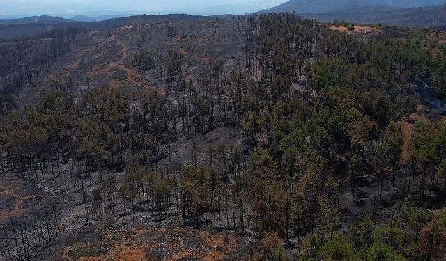 Bursa’da havai fişek atanlara ders gibi ceza!