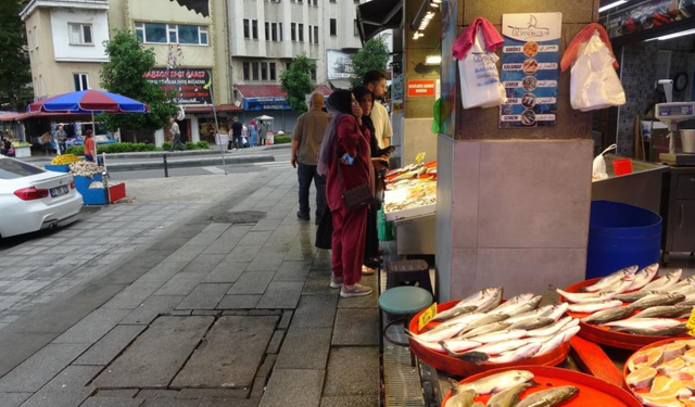 Balıkçıların gözü bu sezon hamside!