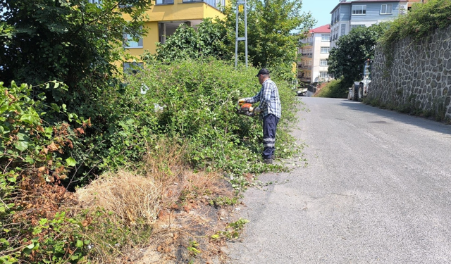 Ortahisar Belediyesi'nde yoğun yaz mesaisi