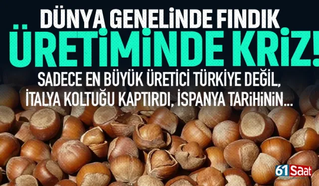 Dünya genelinde fındık krizi! Sadece Türkiye değil...