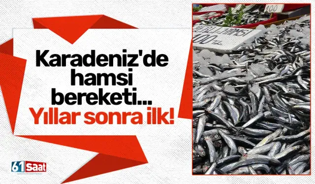 Karadeniz'de hamsi bereketi... Yıllar sonra ilk kez!