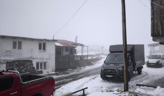 Artvin'in vadilerini sel, yaylalarını kar vurdu