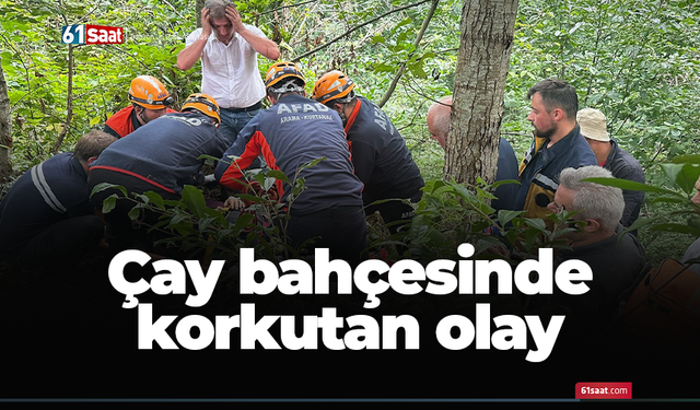 Rize'de çay bahçesinde korkutan olay