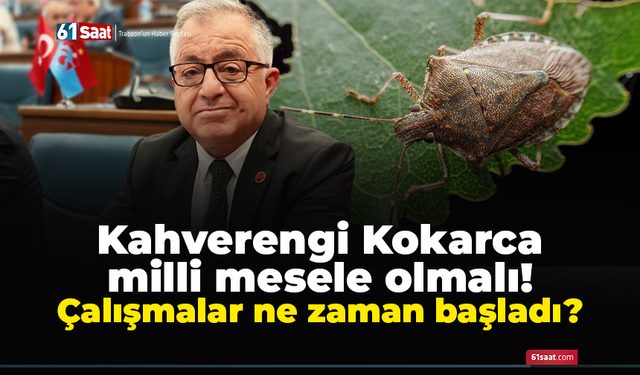 Kahverengi Kokarca milli mesele olmalı! Çalışmalar ne zaman başladı?