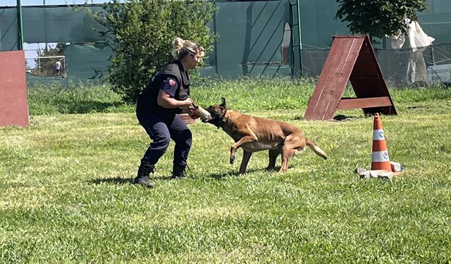 Köpekli arama kurtarma ekiplerinin bir durağı da Trabzon oldu!