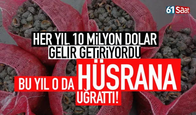 10 Milyon dolar gelir sağlamıştı, Trabzon'da balıkçıların umdukları gibi olmadı!