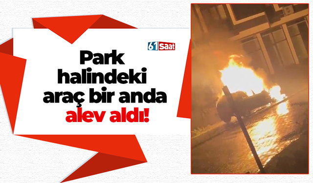 Park halindeki araç bir anda alev aldı!